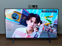 东芝电视 Z500QF Mini LED控光 264Hz高刷 3+128GB 火箭炮音响 4K超清 以旧换新 家电国家补贴 55英寸 55Z500QF【咨询客服领限时底价】 实拍图