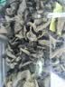 李小谷 黑木耳200克罐装(干木耳东北特产山珍南北干货火锅食材菌菇) 实拍图