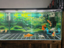 创宁鱼缸渔池循环变频潜水泵 水族箱安静抽水  水陆两用 鱼池假山过滤 升级款【超轻音25W】流量2200-3500L 实拍图