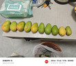 京喜加海南鲜芒果小台水果芒果新鲜上市 带箱2斤【单果70g+】 实拍图