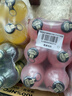 宾得宝（Bundaberg）含气葡萄柚汁饮料375ml*6玻璃瓶装  澳州进口节日出游果汁气泡水 实拍图