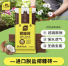 史丹利椰糠砖650g*3 椰土砖椰砖营养土脱盐花土耶砖种菜通用型 实拍图