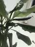 全友家居 奶油风高箱储物床1.8x2米主卧室皮艺软包靠背床落地双人大床 实拍图