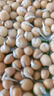 大叶无须豌豆苗种子豌豆尖吃苗四季阳台盆栽芽苗菜秋冬季蔬菜种子 【大叶无须】豌豆尖种子【关注店铺优先发货】 精选500克(一斤) 实拍图