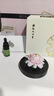 Para Ella永生花陶瓷牡丹生日礼物伴手礼母亲节妈妈结婚纪念护士退休情人节 实拍图