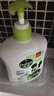 滴露（Dettol）洗手液抑菌消毒 茉莉绿茶清香500g*2 儿童洗手液家庭 迪士尼 实拍图