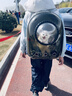licheers猫包外出大号宠物背包便携太空舱猫笼狗袋双肩透气大容量猫咪书包 实拍图