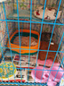 憨憨宠猫笼折叠猫笼子大号猫别墅加粗加密双层猫舍猫窝宠物猫咪用品家用 蓝色 700双层 实拍图