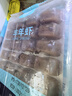 YEE冰冻红虫丰年虾牛心汉堡罗汉六角恐龙七彩孔雀鱼发财鱼饲料鱼鱼食 丰年虾幼虫5板(喂食镊+化冰盒) 晒单实拍图