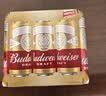 百威（Budweiser）经典纯生淡色拉格啤酒 500ml*18听整箱装 踏春送礼 实拍图