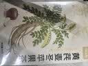 忆江南苹果黄芪水麦冬须根枸杞茶150g补茶包气血养生茶独立包装 实拍图