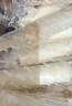 明治海盐荔枝雪糕 46g*10支 彩盒装 实拍图
