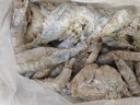 东上御品虾 青岛大虾基围虾鲜活青虾白虾海虾对虾冰虾冻虾生鲜 虾类 海鲜 3斤(净重)  气冻大虾【活虾速冻】 17-21cm【特大虾皇】 实拍图