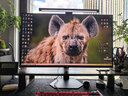泰坦军团 31.5英寸2304分区 MiniLED 4K 160Hz双模320Hz HDR1000 DyDs0.5ms消除拖影 电竞显示器P326MV MAX 实拍图