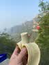 士力架 夹心巧克力 能量补给包 袋装320g 休闲运动 零食 糖果  徒步必备 实拍图