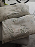 洁丽雅（Grace）7A抗菌100%纯棉四件套新疆棉床上用品床单被套200*230cm1.5/1.8米床 实拍图
