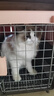 獒少保【带挂碗+垫板】宠物航空箱大号狗猫托运箱猫咪狗狗航空箱运输箱 二号 建议25斤以内 实拍图