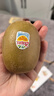 佳沛（zespri）新西兰 新果季 阳光金奇异果10粒巨大果单果146-175g 猕猴桃 实拍图