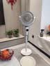 艾美特（AIRMATE）【小暴风PRO】空气循环扇家用大风力摇头电风扇卧室安静轻音小风扇桌面台式节能落地扇电扇 X231 实拍图