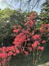 娇韵诗Clarins沁润奇肌滋润霜50ml干皮面霜补水保湿送女生生日生日 实拍图