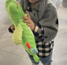 爱贝迪拉（AIBEDILA）婴幼儿安抚巾新生儿安抚玩偶阿贝贝宝宝哄睡神器毛绒玩具小恐龙 实拍图