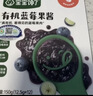 宝宝馋了有机蓝莓果酱150g热门商品无添加糖儿童吐司面包送宝宝婴儿辅食谱 实拍图