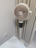 美的（Midea）空气循环扇 电风扇家用立式智能离线语音氛围夜灯净化抗菌换气轻音客厅卧室落地扇 实拍图
