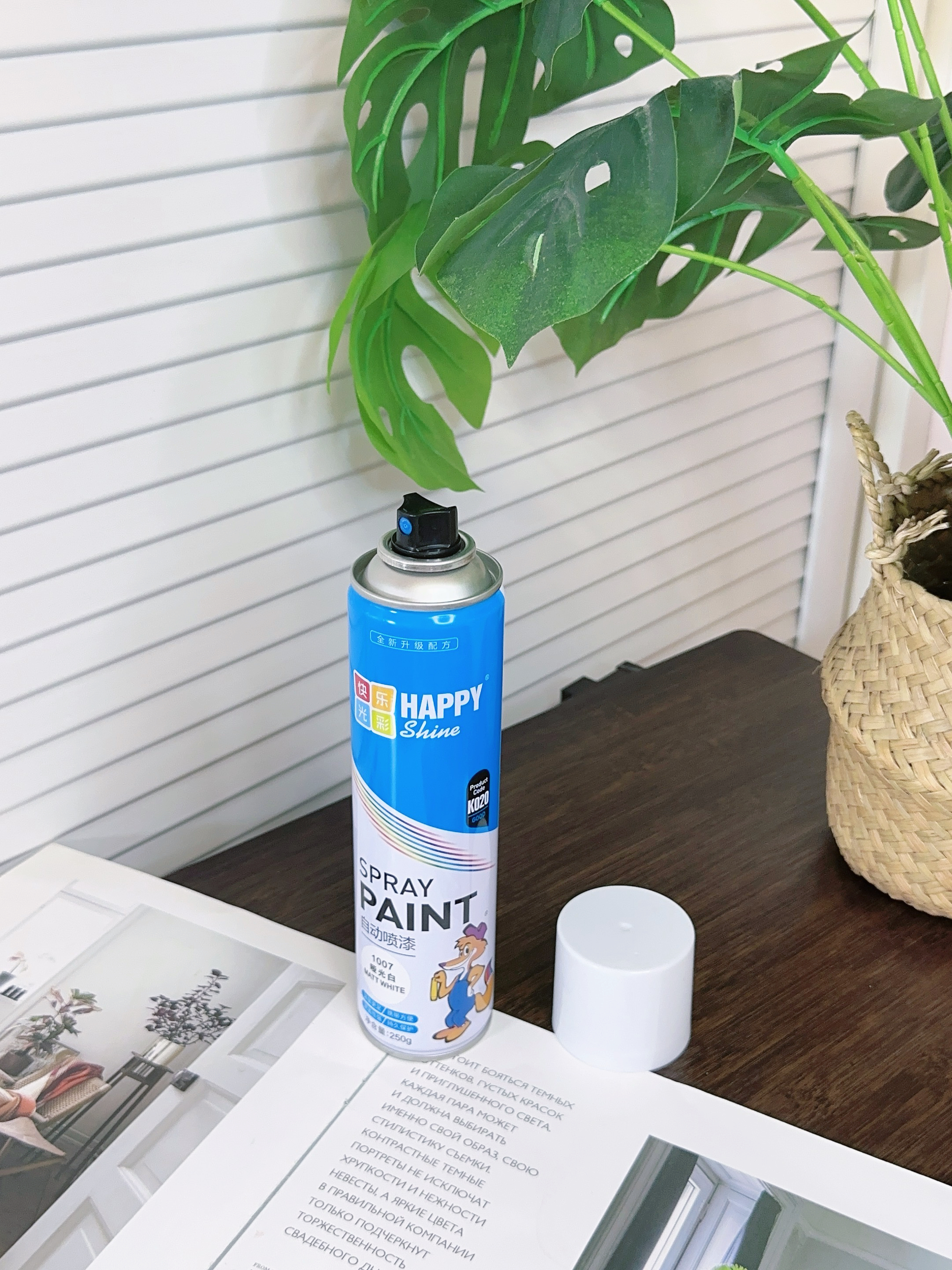 快乐光彩（HAPPY SHINE）自喷漆手摇家具金属塑料铁件翻新防锈漆涂鸦漆车辆手喷漆哑光白250g 实拍图