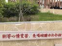 民间艺人鱼线主线200米德国进口原丝尼龙钓鱼线海竿渔线 实拍图