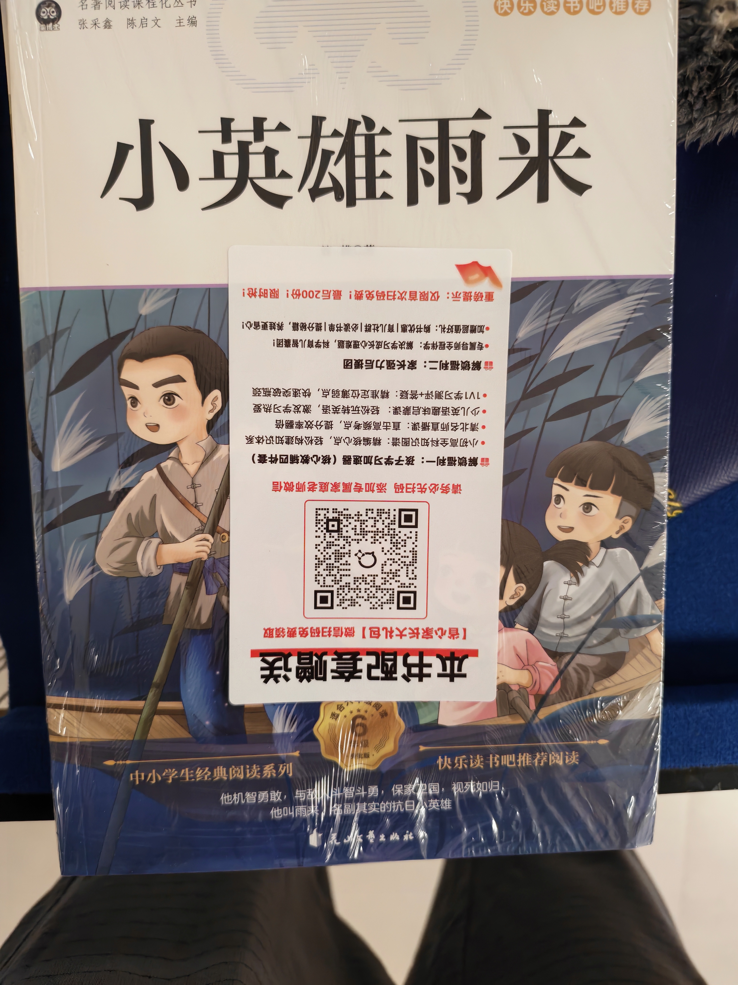【全5册】青铜葵花+小英雄雨来+草房子+宝葫芦的秘密+稻草人 儿童文学经典作品曹文轩张天翼叶圣陶小学生课外读物课外书暑期阅读寒假阅读三年级四年级六年级 实拍图