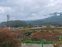 山水（SANSUI）山水M38全波段收音机老年人充电迷你小音箱便携随身听FM调频广播播放器 老人礼物 实拍图