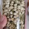 优卓胖东来同款茉莉花干花2026特一级新茶横县特级浓香型花茶理气安神 【特优级茉莉花】无硫熏染 100g*1罐 舒缓情绪辅助提神醒脑 实拍图