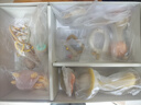 贝初众新生儿见面礼盒婴儿玩具0-6个月小龄满月宝宝礼物百天实用手摇铃2 高奢豪礼15件套【高定礼盒/礼袋+牙胶/摇铃+感官套装】 0-3个月母婴用品小孩玩具哄娃神器抓握月子礼物送产妇 晒单实拍图
