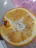 京鲜生 秭归伦晚脐橙/甜橙 钻石果 净重8斤 单果230g起 橙子水果礼盒 实拍图