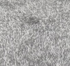 【京东物流】竹炭纤维抹布强力去渍摩擦大环保减排清洁省力 30*30 三条装 实拍图