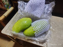京鲜生 海南金煌芒果 2斤装 单果约300g 约2-3个 生鲜水果 实拍图