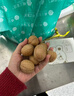 楼兰蜜语【新货】高品质阿克苏年新薄皮核桃5斤原味节日礼盒特产坚果零食 实拍图