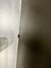 清风有芯大卷纸3层150米*12卷商用大盘纸卷筒纸卫生纸整箱BJ00ABXG 实拍图
