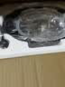 苏泊尔（SUPOR）有钛0涂层速嫩蒸鲜呼吸电压力锅5L超高压120kPa 2000W上蒸下煮电饭煲高压锅家用4-6人SY-50FC5051 实拍图