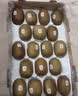 佳沛（zespri）新西兰新果季  阳光金奇异果18粒礼盒优选果单果103-124g 猕猴桃 实拍图
