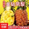 热带水果哈密瓜甜瓜产脆甜多汁香甜可口产地直发沙漠爆甜瓜 14-16斤推荐礼盒版（3-4个装） 源正达爆甜蜜瓜 实拍图