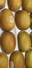 佳沛（zespri）新西兰阳光金果10个装单果重约103-114g 水果礼盒 猕猴桃水果礼盒 实拍图