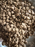 素力高（SolidGold）猫粮进口高蛋白金装金素鸡长肉营养成猫全价猫粮15磅/6.8kg 实拍图