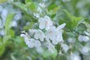 MEKE【L口】美科851.8se二代 L镜头85mm f1.8 SE二代自动对焦全画幅大光圈人像适用L口微单相机定焦 AF 85mm f1.8 SE 二代  （松下L口） 官方标配+（送高透UV+清 实拍图
