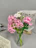 TaTanice积木花束拼装玩具儿童大颗粒手工diy永生花玫瑰花男女孩生日礼物 实拍图
