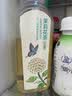 农夫山泉东方树叶茉莉花茶500ml*15瓶无糖茶饮料0糖0脂0卡整箱装 实拍图