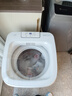 海尔（Haier）迷你洗衣机小型波轮5公斤儿童母婴内衣洗洗衣机全自动DD直驱变频一级能效补贴电离除菌以旧换新 旗舰新品B388小小神童 波轮 5kg 直驱+柔护内筒 实拍图