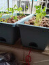 原起点长方形霍伦种菜盆60cm特大种花盆阳台种菜神器长条蔬菜草莓种植盆 橄榄绿1个装【送自吸水网】 实拍图