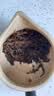 福茗源茶叶 祁门红茶 浓香新茶祁门香螺工夫茶奶茶配料袋装250g口粮茶 实拍图