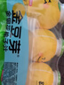 金豆芽儿童金银花柚子汁155ml*16瓶夏天孩子饮料宝宝零食果汁西柚汁 实拍图